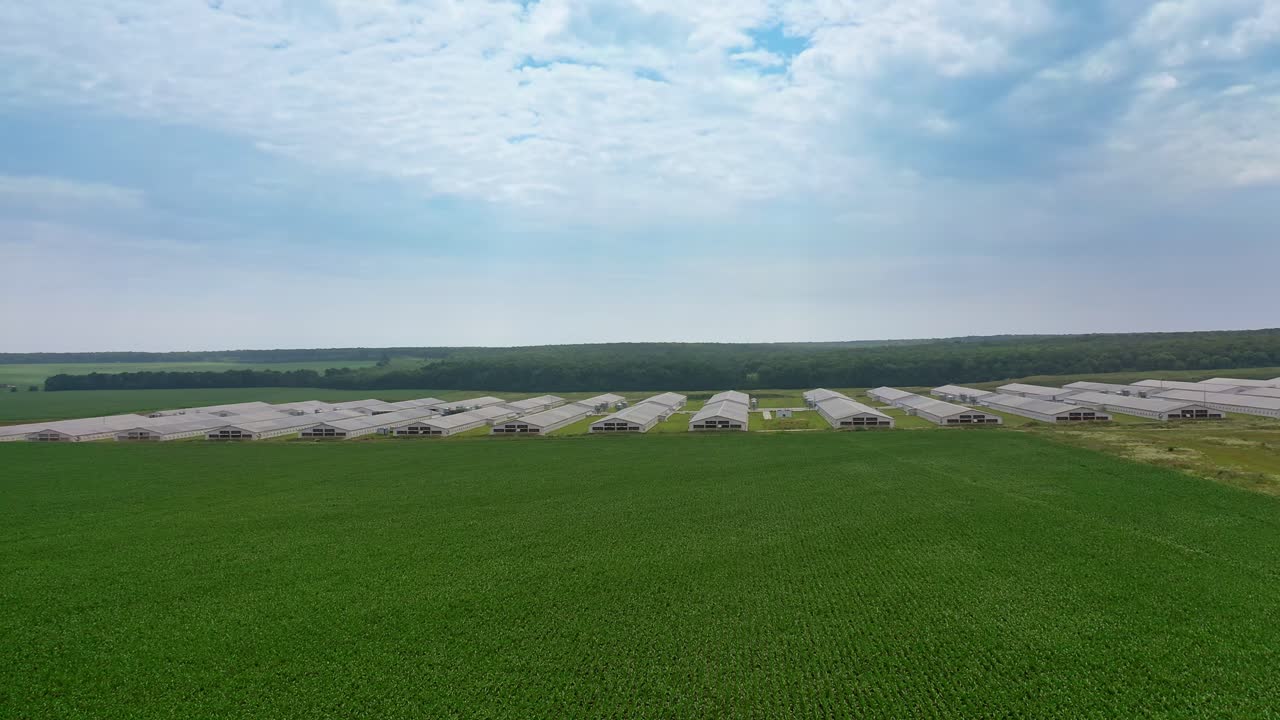 Allevamento avicolo industriale. Vista a volo d'uccello da drone in volo della grande fattoria in mezzo ai campi
