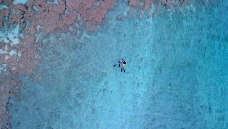 Couple-snorkeling-in-the-sea-4k