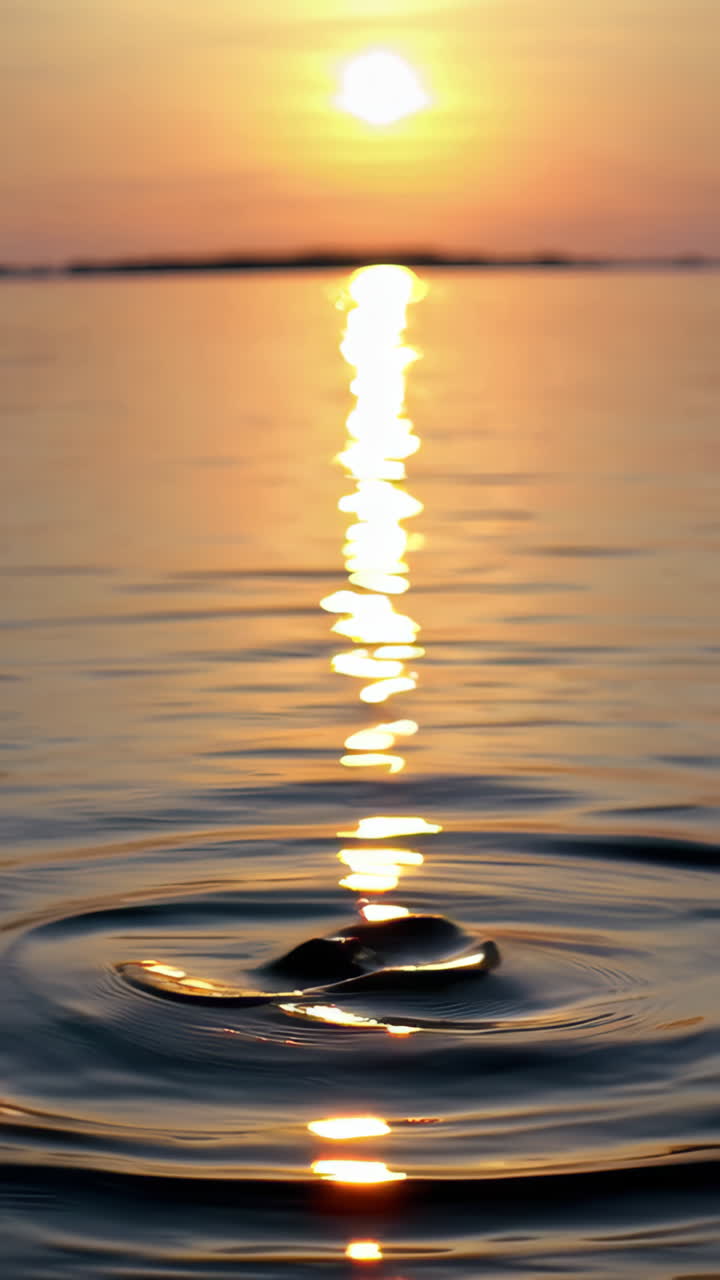 Sunset Reflections on Water Ripples