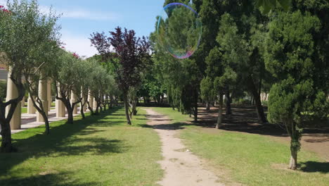 una burbuja de jabón entre las hojas vuela hacia el cielo
