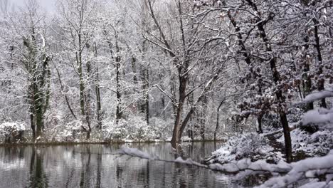 quiet icy lake with calm water reflecting forest trees covered in white snow