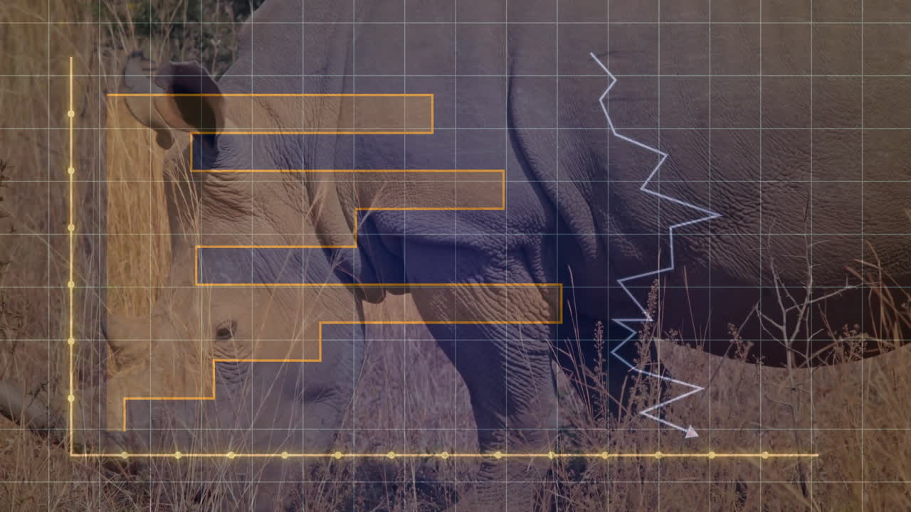 Rhino charging through grass while yellow line graph climbing grid overlay and orange bars rising