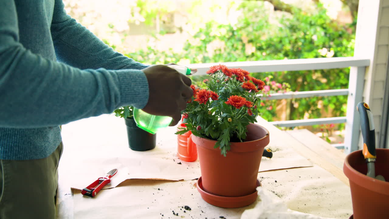Gardening on porch, person watering vibrant flowers in terracotta pot