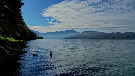 in austria's attersee, a captivating panorama: a lake with ducks nestled amidst mountains, nature's masterpiece, embark on an adventure into this breathtaking landscape