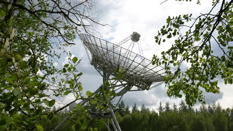 radio telescope in a forest