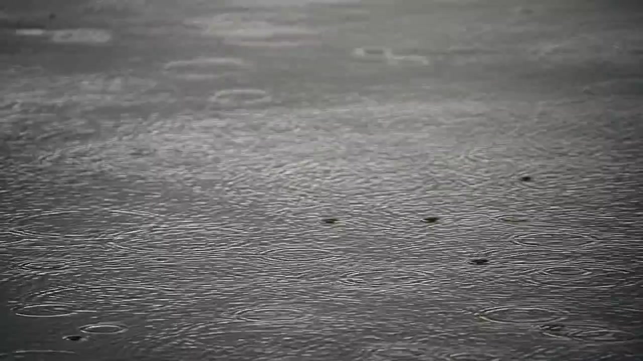 Regndråber danner cirkulære ringe på våd mørk overflade