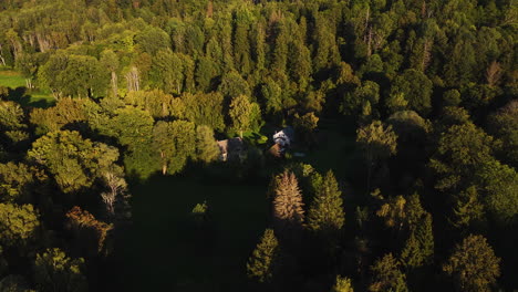 aerial view of a secluded house in the forest