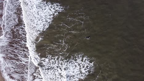 Surfista-Remando-Lejos-De-La-Orilla,-Con-Un-Dron-Saliendo-Para-Exponer-La-Playa