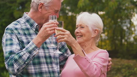 retired senior couple celebrating good news or win making a toast with champagne in garden