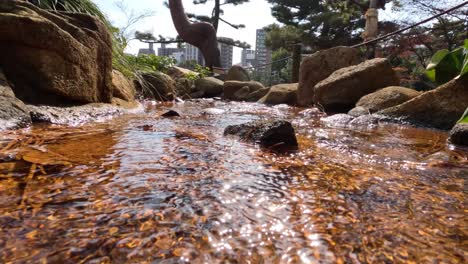 el suave flujo de agua en un tranquilo arroyo bordeado de rocas