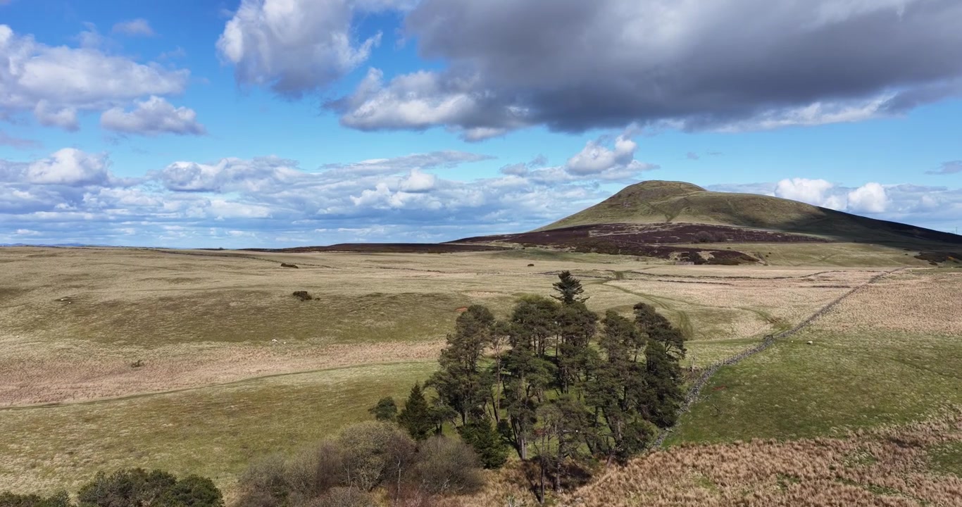 Vol au-dessus d'une zone typique de pâturage de moutons à flanc de colline à Fife, Écosse. La colline d'East Lomond (Falkland Hill) est visible en arrière-plan