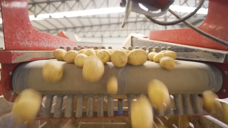 Instalación-De-Almacenamiento-De-Patatas.