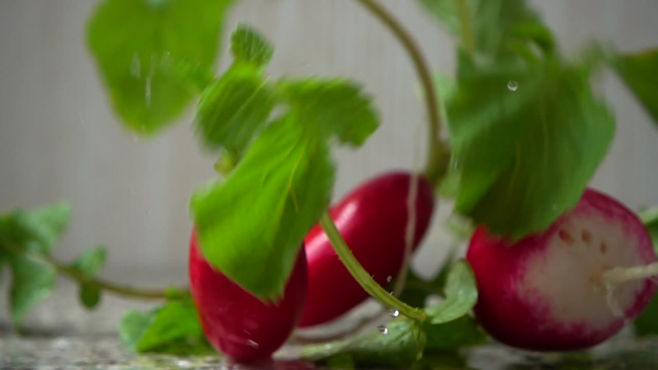 Caída de frutos de un rábano. Cámara lenta