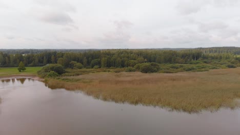 Blühende-Flora-Und-Fauna-Vortsjarv-Estland-Luftaufnahmen