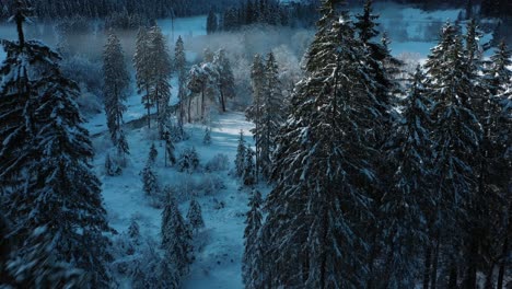 Excelente-Vista-Aérea-De-Un-Bosque-Invernal-En-Suiza