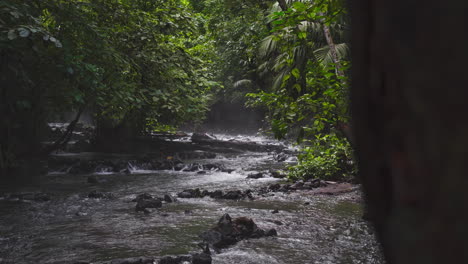 costa rica junte rain forest river natural beauty cinematic look 4k