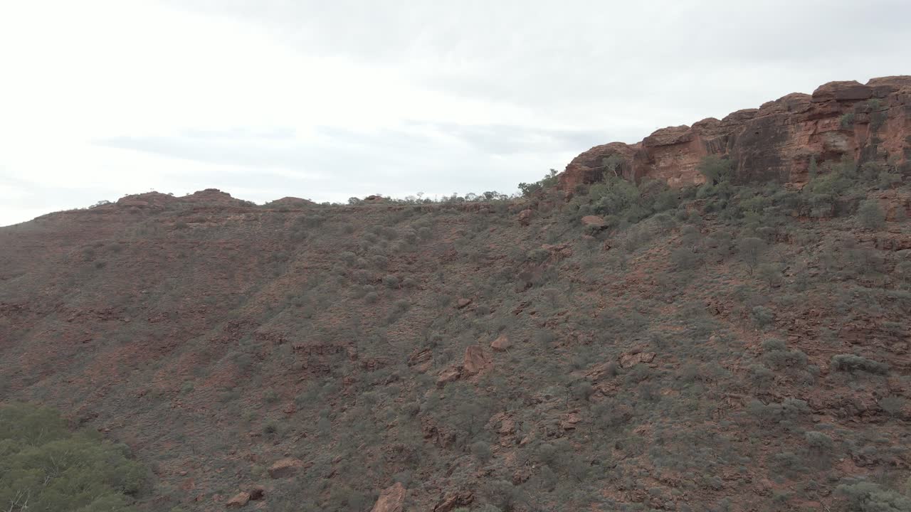 las plantas crecen en la ladera de los acantilados rojos - kings canyon en el parque nacional watarrka en el territorio del norte, australia