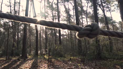 nudo de cuerda en un bosque