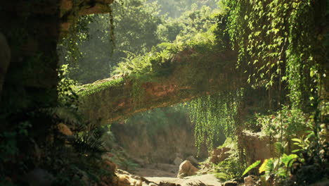 serene natural landscape in china featuring lush vegetation and a mossy log