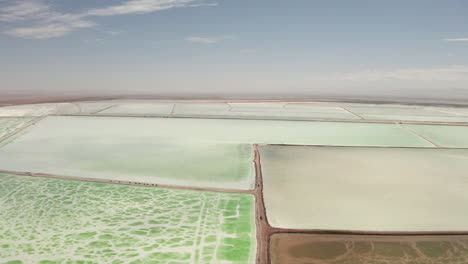 the green saline lake, natural lake background.