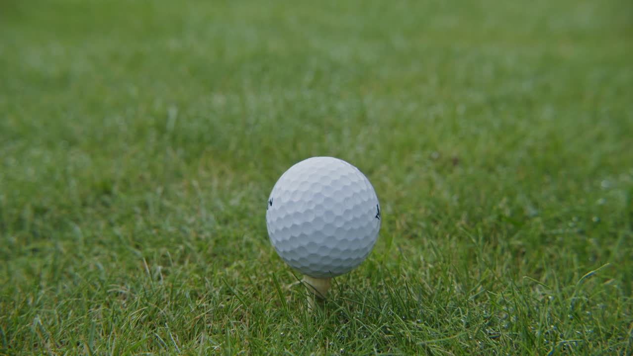 Golfbal op de tee