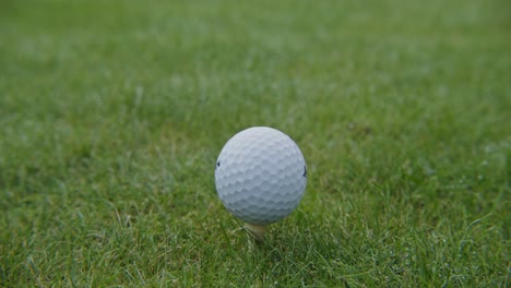 golf ball on tee