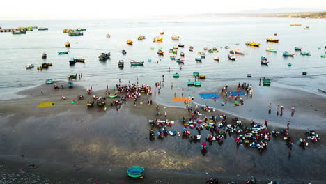 fishermans sorting fresh caught seafood on the calm bay mui ne in vietnam on a sunny day