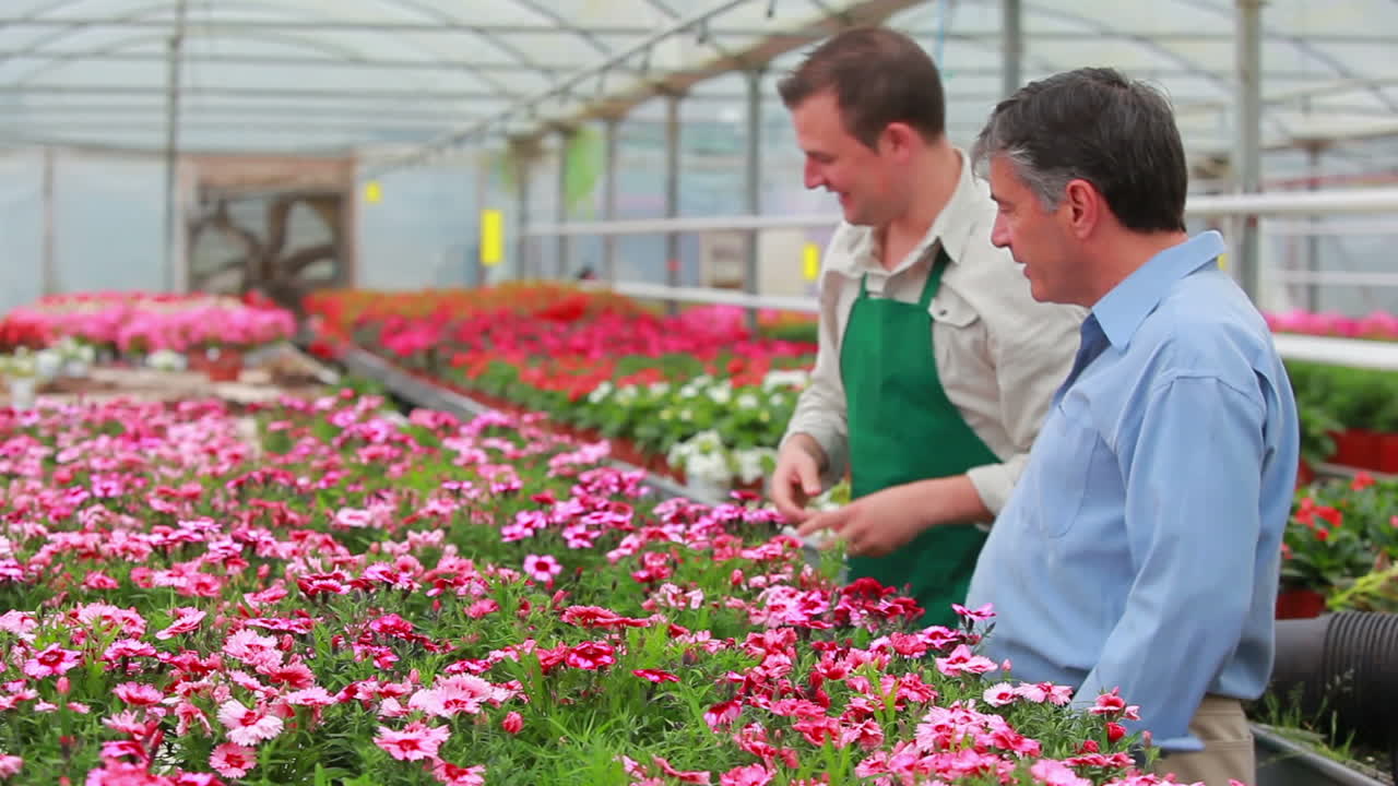 Giardiniere e cliente in piedi davanti alla serra
