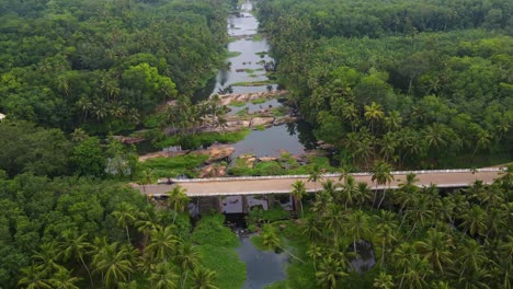 majestuosa toma aérea de un dron del bosque de kerala, mezclando las copas de los cocoteros y un río brillante.