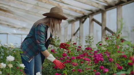 mujer feliz con flores en el invernadero. gente jardinería y concepto de profesión - mujer feliz con flores en el invernaderos