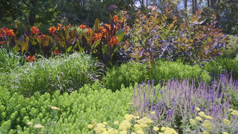 garden bed of flowers at the botanic gardens in melbourne australia