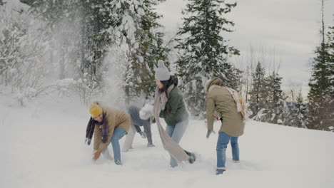 friends enjoying a snowball fight in the mountains