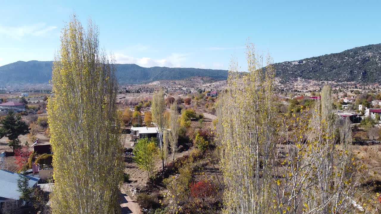 árbol de aldea aérea drone