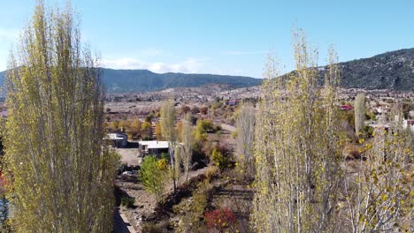 Aerial-Drone-Village-Tree