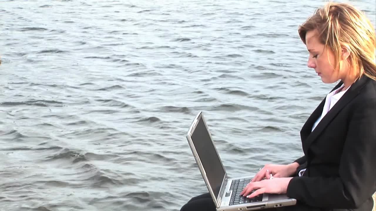 노트북에 있는 비즈니스 여인