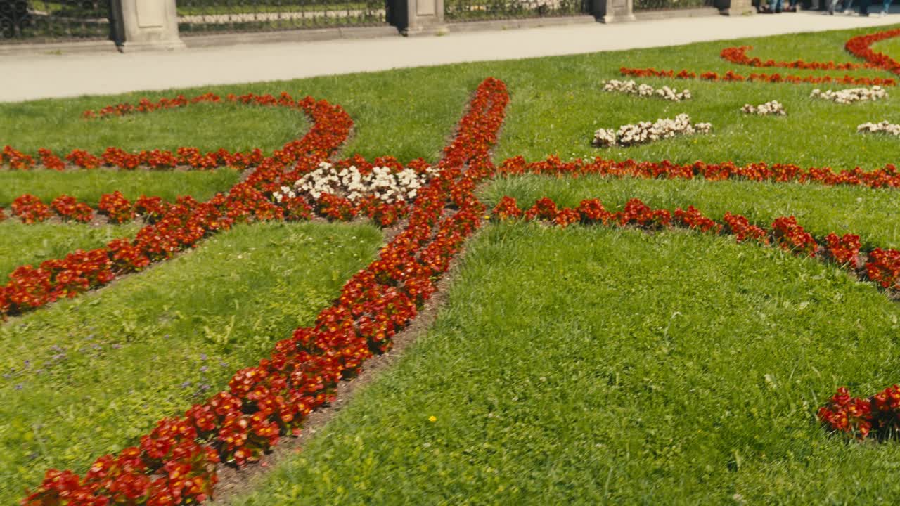 Vibrant red and white flowerbeds creating patterns in a lush green park, daylight