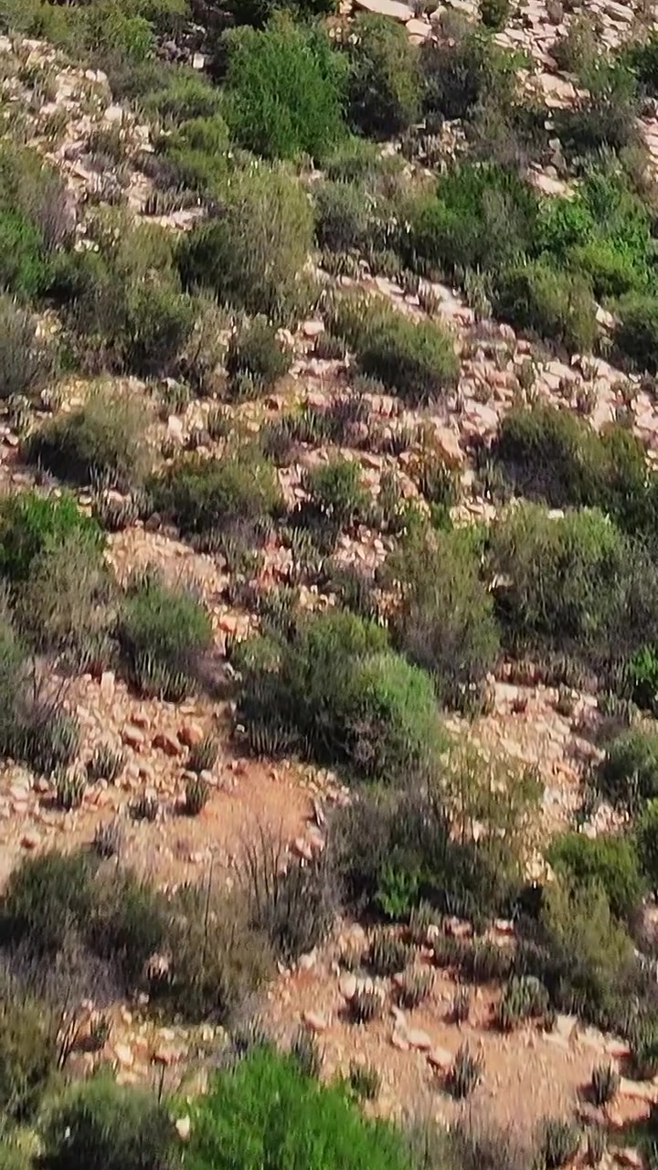 Vista aerea di un terreno accidentato con rocce e vegetazione in Marocco.