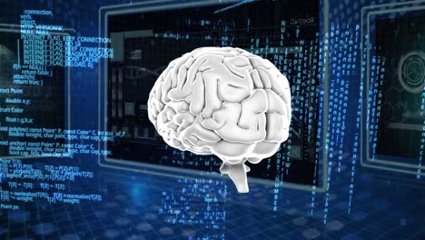 el cerebro humano.