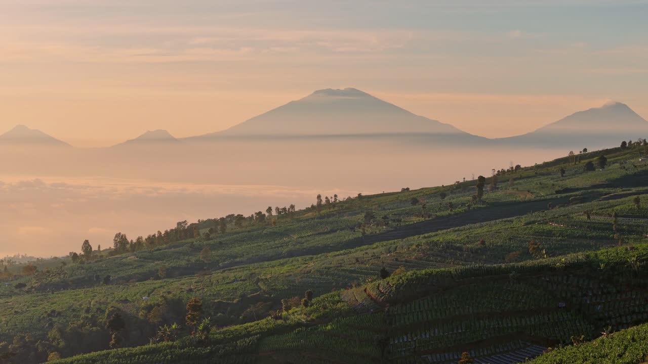 Breathtaking aerial view of green agricultural field with distant mountain emerging above sea of clouds at sunrise. A peaceful rural landscape bathed in soft golden light