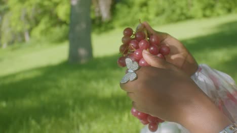 las uvas en la mano se recogen y se comen en el parque en un día soleado de cerca