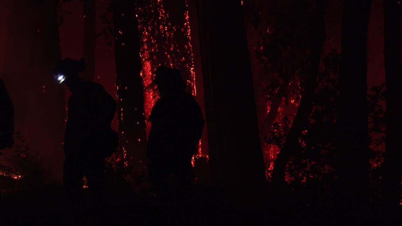 bomberos nocturnos lucha contra incendios durante el incendio del complejo relámpago en las montañas de santa cruz california 1
