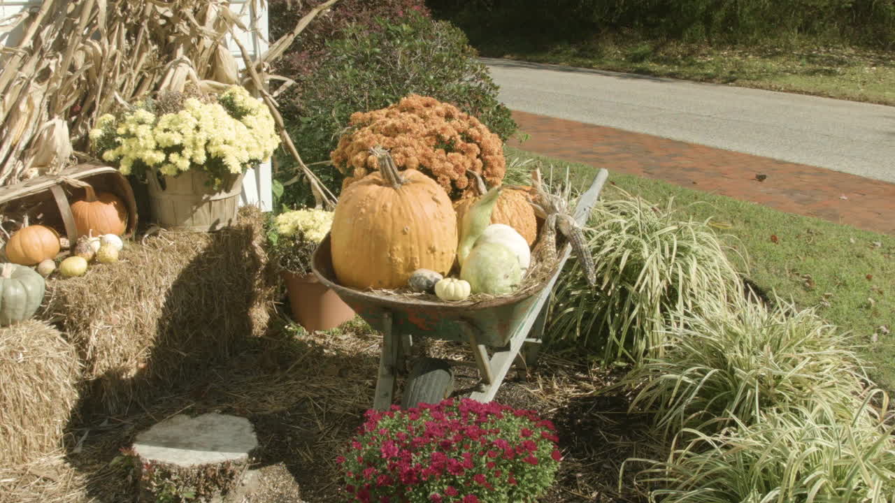 Autumn harvest decorations on a sunny fall day.  Leaf blown by the wind in the background.  Wheelbarrow, pumpkins, corn, hay bales.