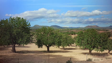 Timelapse-shows-a-tree-arrangement-in-the-foreground-and-mountains-with-gathering-clouds-in-the-background