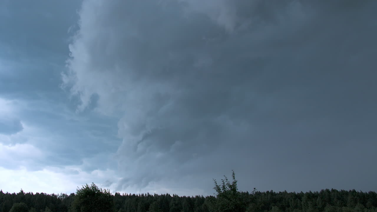 폭풍우 구름이 숲 위에 모여