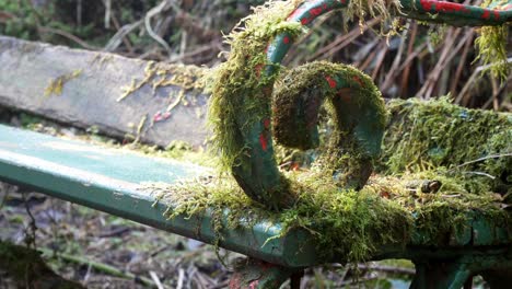 mossy overgrown weathered curled wrought iron wooden bench abandoned in woodland forest dolly left closeup