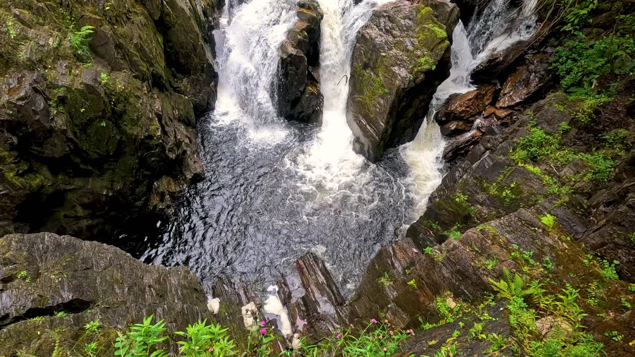cascada en cascada a través de terreno rocoso en un bosque exuberante