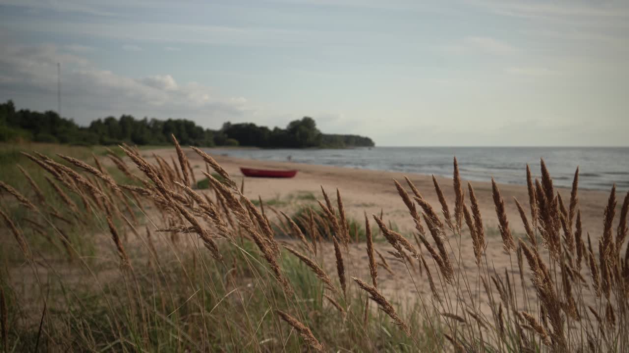 발트 해 의 모래 언덕 에 있는 시 배