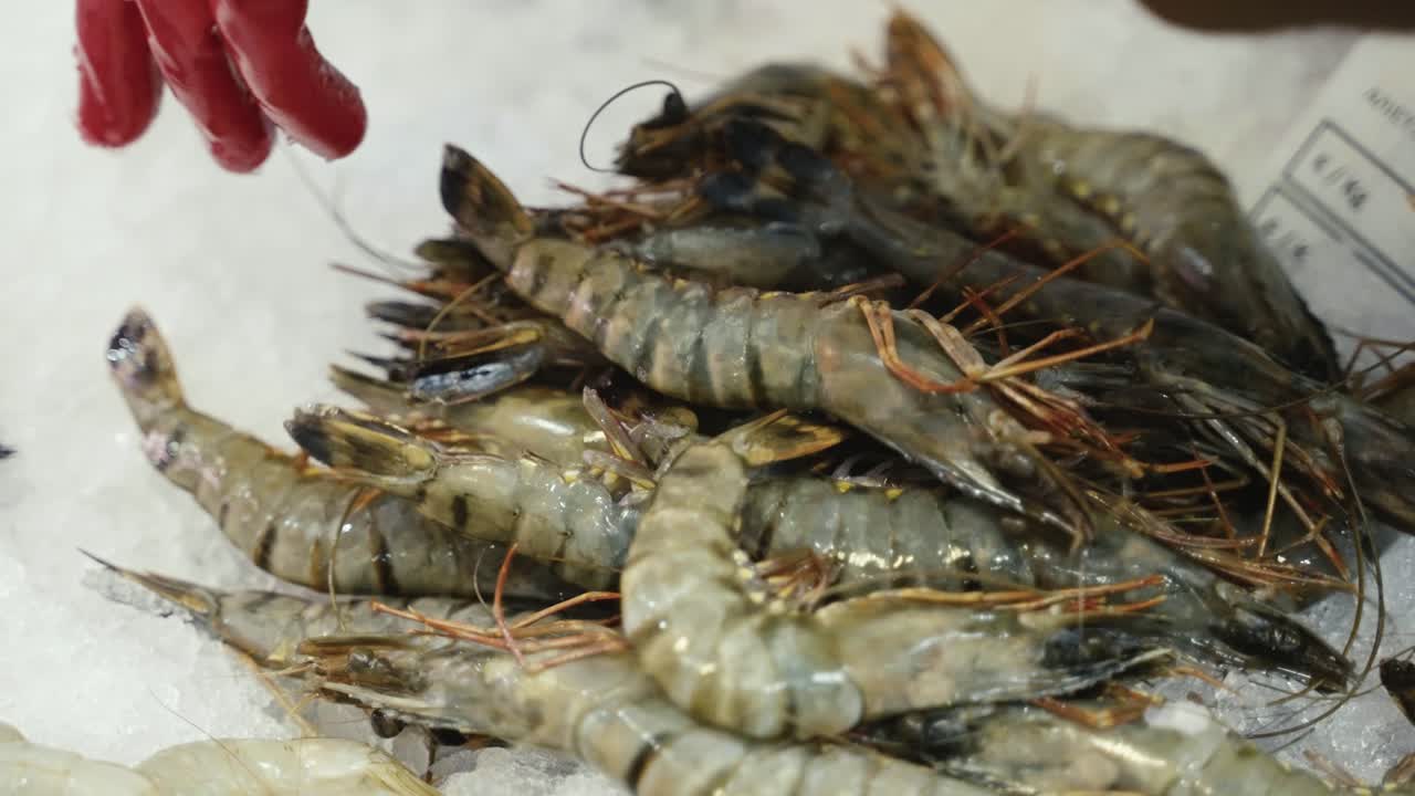 클로즈업 분류 및 얼음에 신선한 생 새우 새우 포장