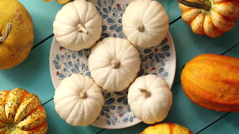 white pumpkins laid on plate