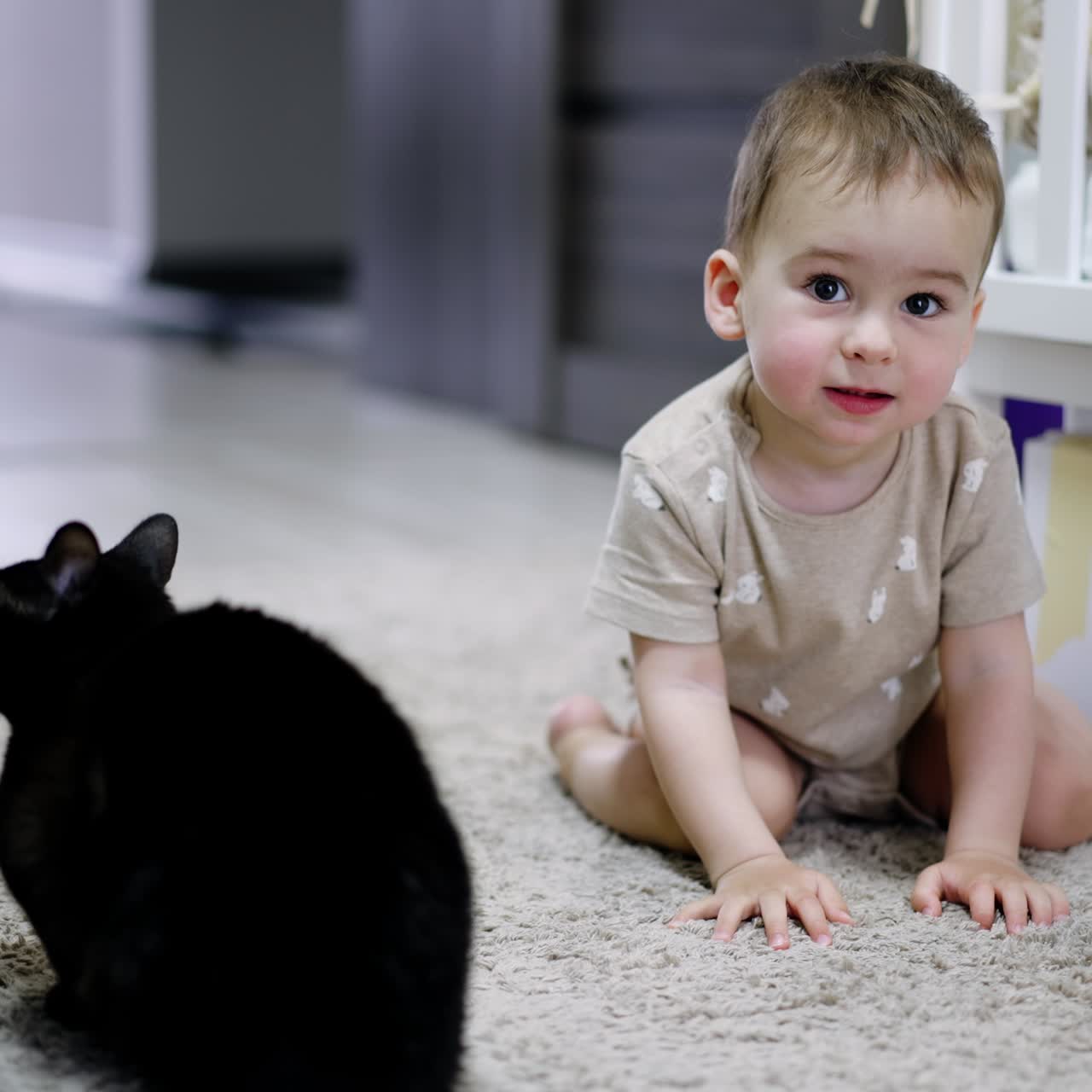 Adorable boy sitting on the floor petting black cat. Beautiful baby looks at camera and touches pet again. Blurred backdrop